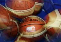 Bsaketball 1. Bundesliga  Walter Tigers Walter Tigers Tuebingen 73-79 Eisbaeren Bremerhaven