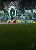 Fussball 1. Bundesliga Saison 15/16: SV Werder Bremen - Hamburger SV