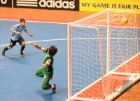 Fussball International FIFA FUTSAL WM 2008