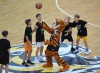 Barmer 2. Basketball Bundesliga  18/19: Tigers Tuebingen - Artland Dragons