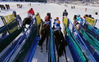 White Turf  St. Moritz 2010