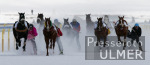 REITSPORT White Turf St. Moritz Skikjring; Feature