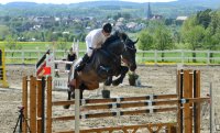 Reiten Horb-Nordstetten Turnier Mai 2012