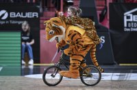 Basketball 1. Bundesliga 23/24: Tigers Tuebingen - BG Goettingen