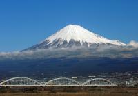 Fussball International FIFA Club WM Adelaide United - Gamba Osaka