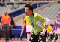 Fussball International FIFA FUTSAL WM 2008