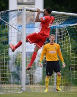 FUSSBALL 1. Bundesliga 2013/2014: Christopher Jullien (SC Freiburg)