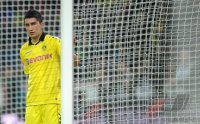 Fussball: 1. Bundesliga Saison 2010/2011: Dortmund, SAHIN