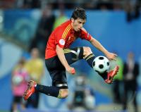 Fussball Euro 2008: Spanien, Villa