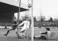 Fussball 1. Bundesliga