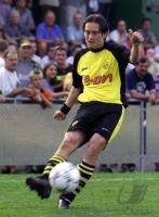 Tomas Rosicky, Einzelaktion