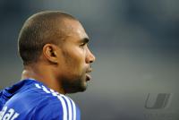 Fussball 1. Bundesliga, FC Schalke 04: ENGELAAR