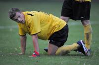 Fussball U 17 Junioren Bundesliga Sued/Suedwest 2009/2010