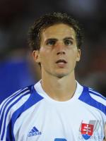 Fussball WM  2010  Qualifikation: Slowakei - Tschechien