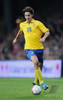 Fussball WM  2010  Qualifikation:  Daenemark - Schweden