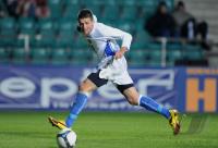 Fussball WM-Qualifikation:    IBISEVIC (Bosnien-Herzegowina)