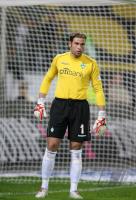 Fussball 1. Bundesliga: Werder Bremen, WIESE