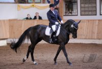 REITEN  / Dressurpruefung