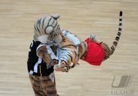 Basketball  1. Bundesliga  09/10  Walter Tigers Tuebingen - Giants Duesseldorf