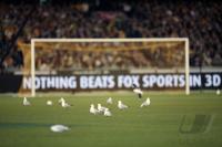 FUSSBALL, INTERNATIONAL, FRIENDLY MATCH, AUSTRALIA - NEW ZEALAND