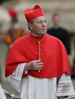 Vatikan; Tod von Papst Johannes Paul II, Kardianl Walter Kasper