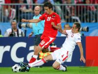FUSSBALL EURO 2008: Oesterreich - Polen