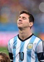 FUSSBALL WM 2014, HALBFINALE: Niederlande - Argentinien