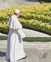 Rom Ostermesse 2016; Uebersicht Petersplatz