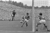 Fussball DFB Pokalfinale Saison 1968/1969: Siegestor 2:1 Gerd Mueller