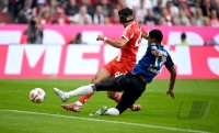 Fussball 1. Bundesliga Saison 2025/2026
FC Bayern Muenchen - Hamburger SV