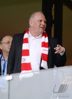 Fussball  1. Bundesliga  13/14: TSG 1899 Hoffenheim - FC Bayern Muenchen