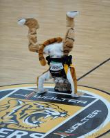 Basketball 1. Bundesliga  08/09  Walter Tigers Tuebingen  -  Paderborn Baskets