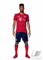 Fussball 1. Bundesliga 2018/2019: Fototermin beim FC Bayern Muenchen