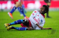 Fussball: 1. Bundesliga Saison 2010/2011: Hamburger SV, PITROIPA