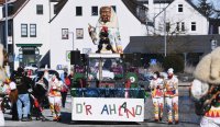 Schwaebisch-alemannische Fastnacht / Rottenburger Fasnet 2021 in Coronazeiten