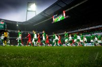 Fussball 1. Bundesliga Saison 12/13: Werder Bremen - Fortuna Duesseldorf