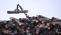 Schmuckbild, Wetterbild: Stammholzstapel wird Brennholz