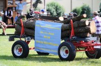 Hirrlingen Sommerfest Musikverein 2017