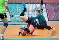 Handball EHF Pokal Frauen 16/17: TuS Metzingen  (GER) - Handball Club Lada (RUS)