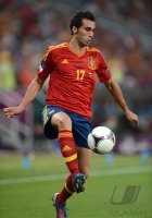 Fussball International Europameisterschaft 2012: Spanien - Frankreich