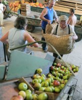 Obstannahme in Weilheim