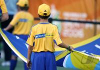 Fussball WM 2006  Mexiko - Iran