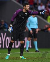 Fussball International Europameisterschaft 2016: Schweiz - Frankreich