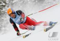 Ski Alpin; Abfahrt Training  Herren