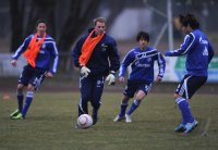 Fussball DFB Pokal 10/11 : Training FC Schalke 04