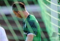 Fussball 1. Bundesliga Saison 2010/2011, Testspiel  Werder Bremen: ARNAUTOVIC