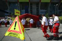 Fussball WM 2006: Australien - Japan