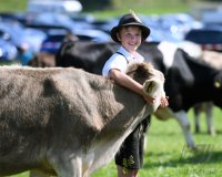 Almabtrieb - Viehscheid in Maierhoefen (Kreis Lindau) im Allgaeu