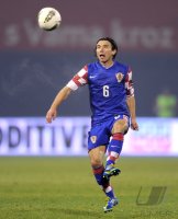 Fussball Nationalmannschaft : Danijel Pranjic  (Kroatien)