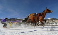 Pferdesport:  White Turf  St. Moritz 2011   Skijoering